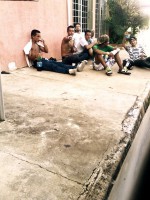 /album/galeria-de-fotos/nozes-10-jpg/